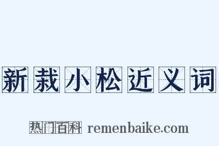 新栽小松近义词是什么意思的图片